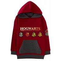Harry Potter Hoodie Kids Hogwarts House Teams Crest Hooded Fleece Top Sweatshirt