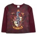 Harry Potter Long Pyjamas - Gryffindor