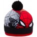 Spiderman Hat And Glove Winter Set