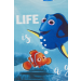 Finding Dory Short Sleeve T-Shirt - Life Is A Great Adventure