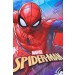Spiderman Sun Suit