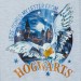 Girls Harry Potter Full Length Pyjamas Kids Hogwarts Pjs Set Hedwig Nightwear