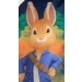 Peter Rabbit Drawstring Bag  3D Carrot Keyring